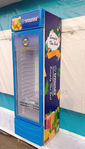 Snow Sea 4 Steps Showcase Chiller (350 Liters)