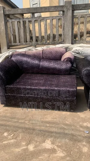 Sectional Couch and Sofa