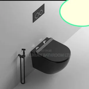 Black Conculed Wc Set