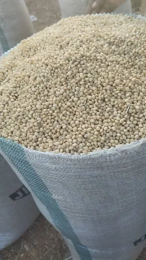 Brown Soyabean