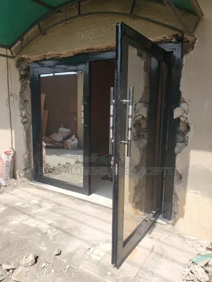 Aluminum Double Swing Door