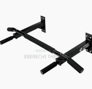Wall Pull Up Bar