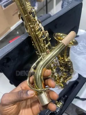 Yamaha Alto Saxophone Gold Pro Sax