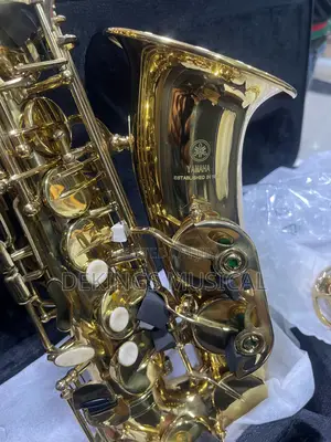 Photo - Yamaha Alto Saxophone Gold Woodwind Pro Sax
