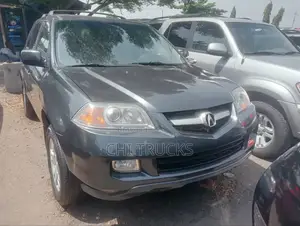 Acura MDX 2006 Beige