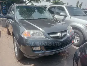Acura MDX 2006 Beige
