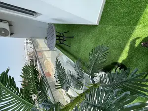 Quality Green Grass for Balcony