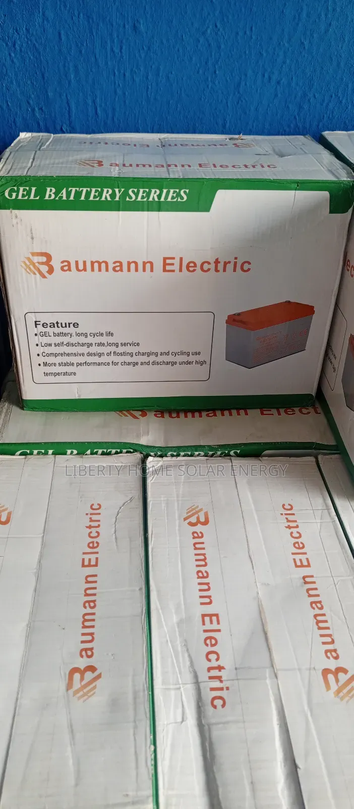 100ah Baumann Dry Cell Battery