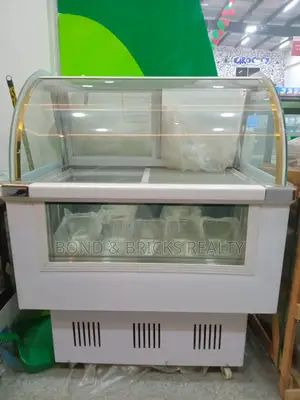 Ice Cream Display 10 Pans