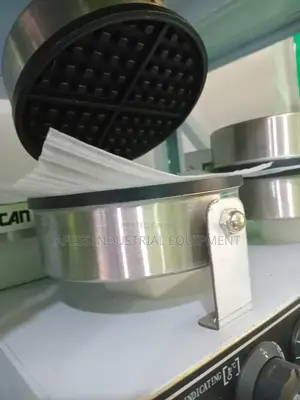 Double Waffle Baker.