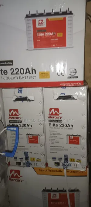 Mercury Inverter Battery