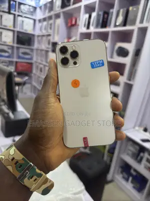 Apple iPhone 12 Pro Max 256 GB