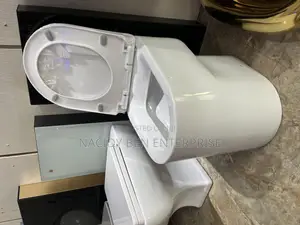 Glass Conceal Wc