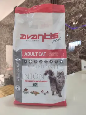 Photo - Avantis Cat