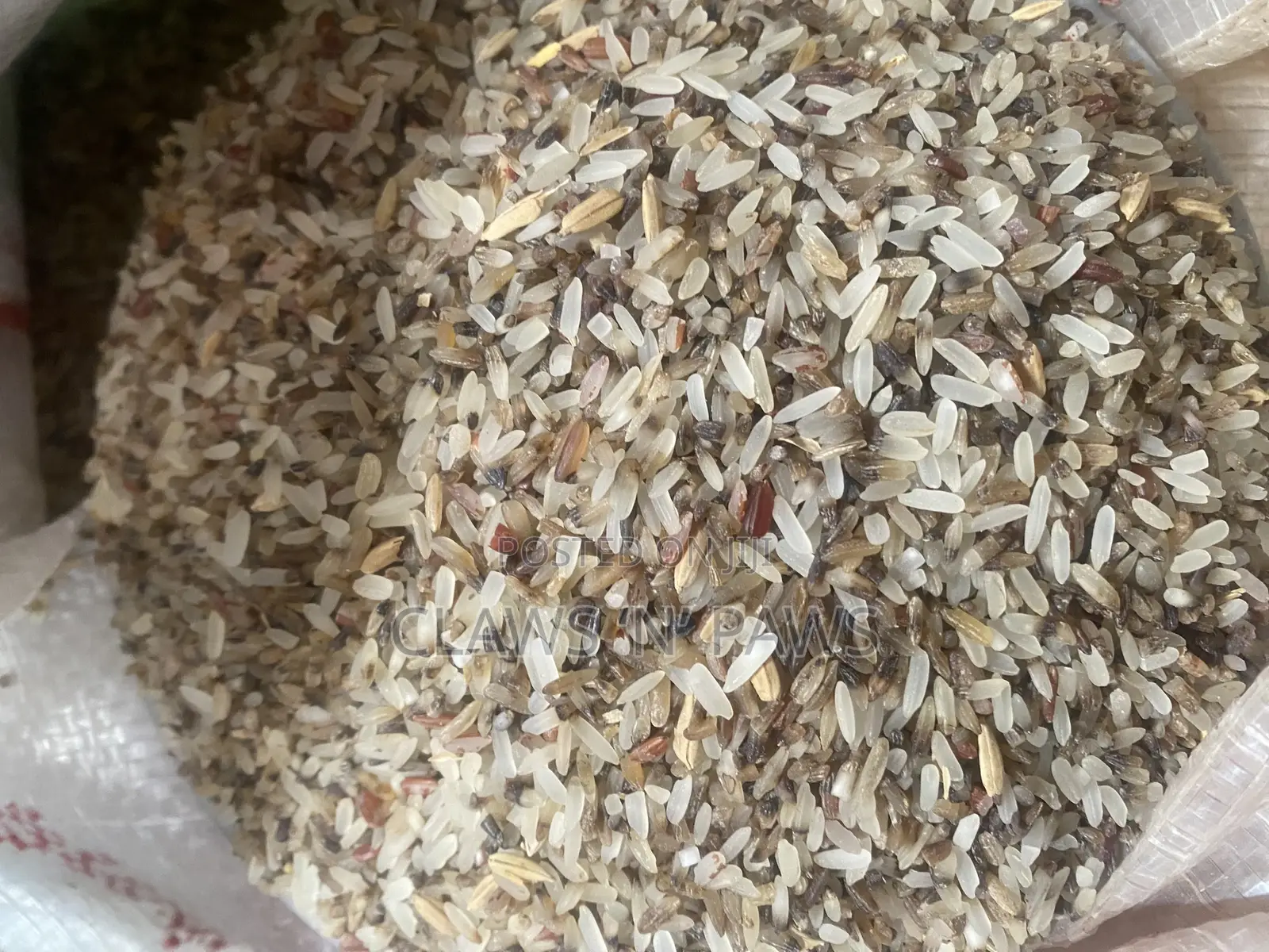 Dog Brown Rice