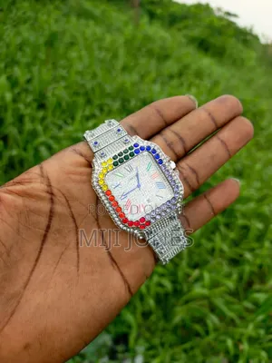 Cartier Mid Range Ice Watch