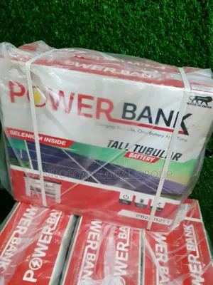 220ah Indian Tubular Solar Batteries