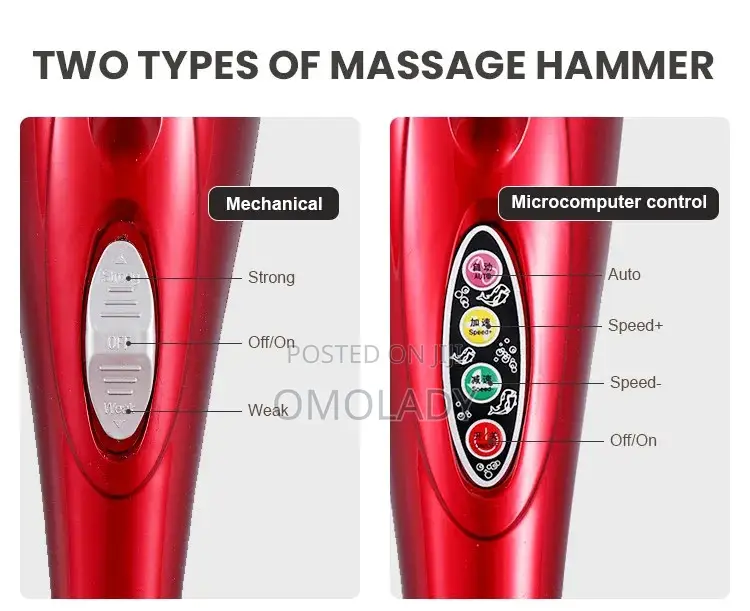 Dolphin Infrared Massager Hammer