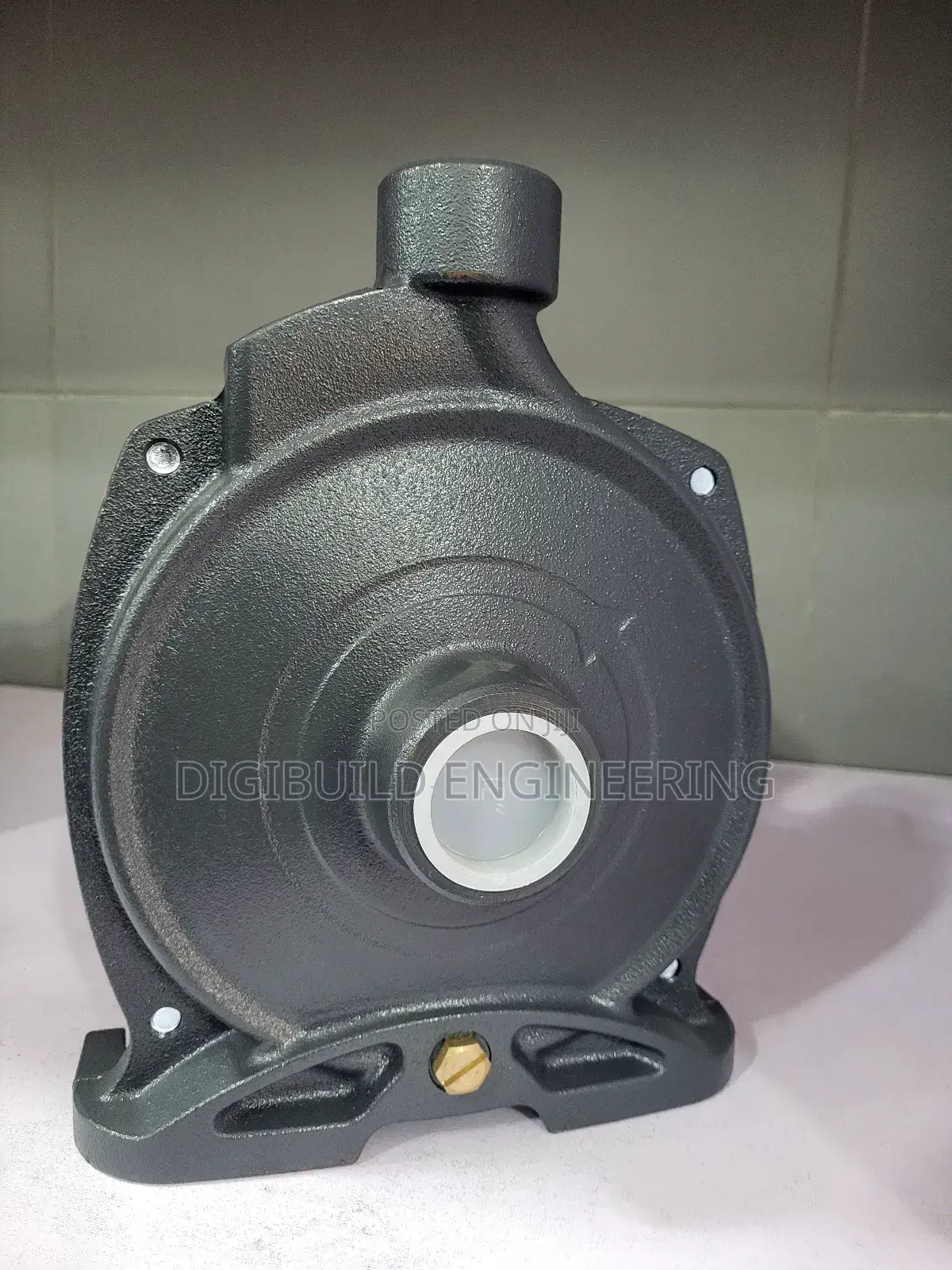 1.5hp LEO Surface Pump