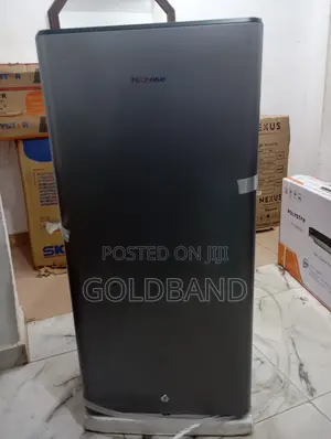 Hisense 15ol Ref Single Door Top Freezer Refrigerator Rr20s