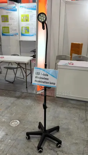 Photo - Angle Poised Lamp