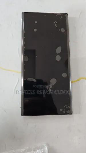 Samsung Galaxy S22 Ultra Oled Screen With Frame