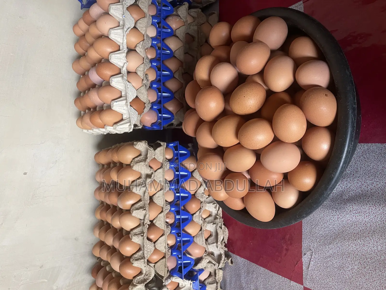 Eggs Crates of Egg