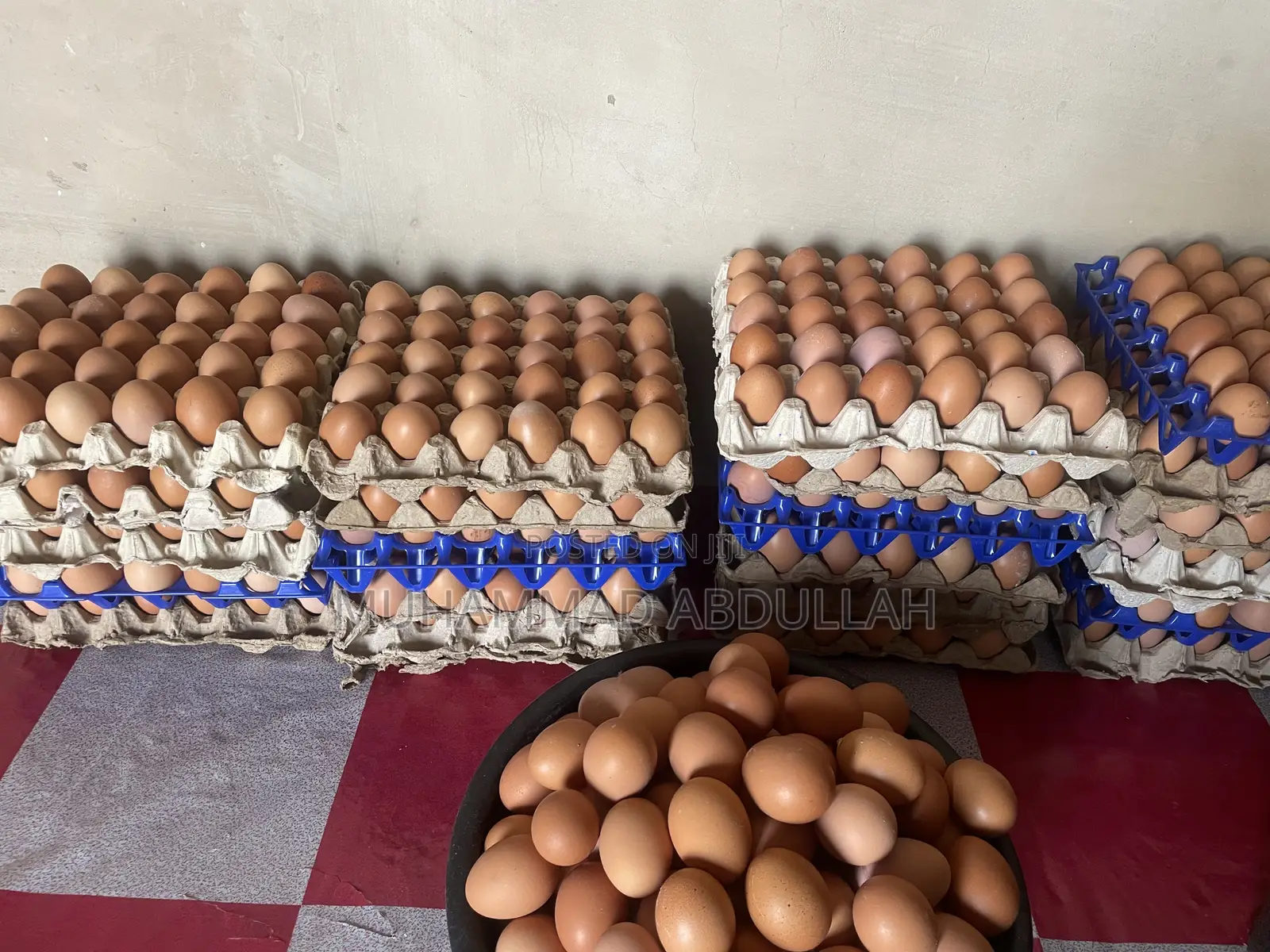 Eggs Crates of Egg