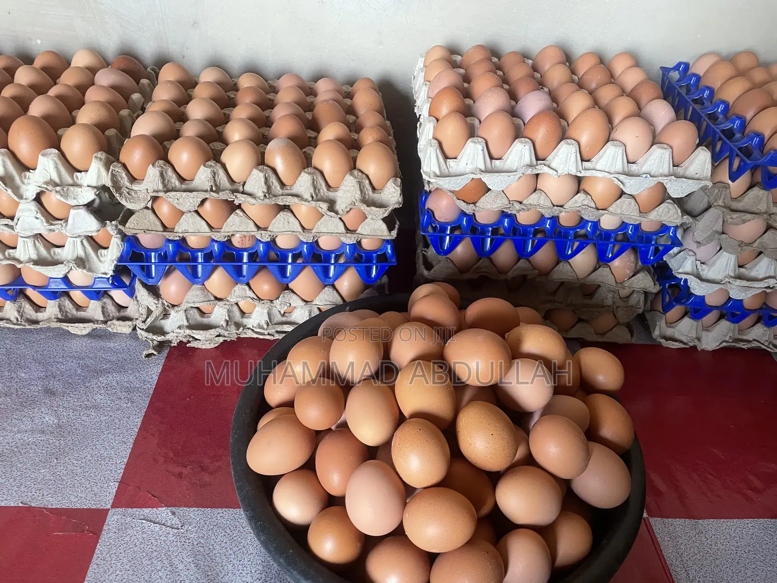Eggs Crates of Egg