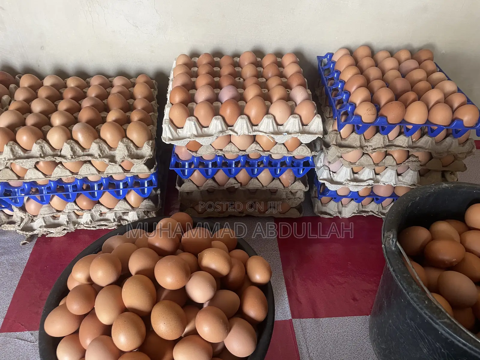 Eggs Crates of Egg