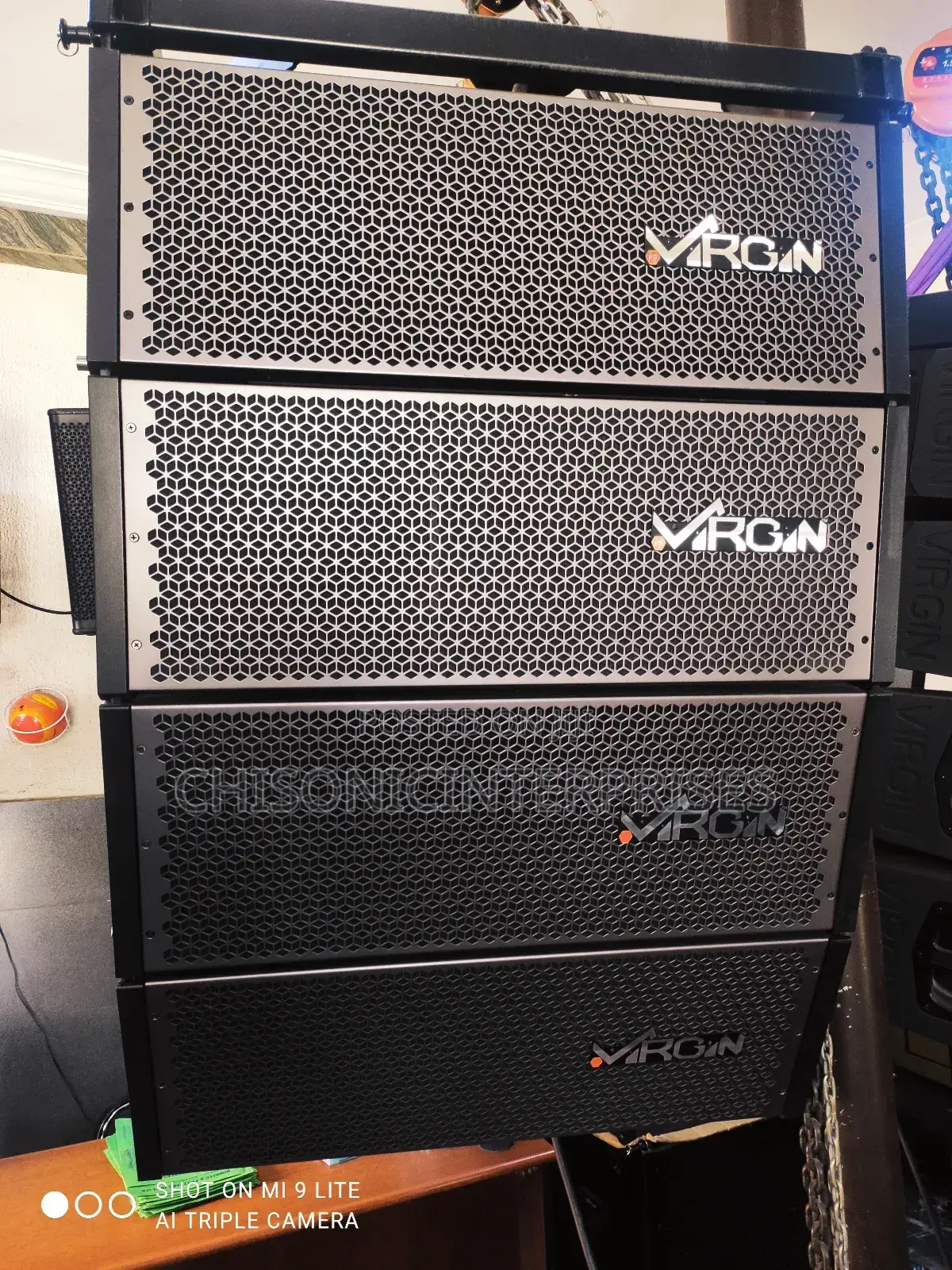 Virgin Line Array Double 10 Speaker