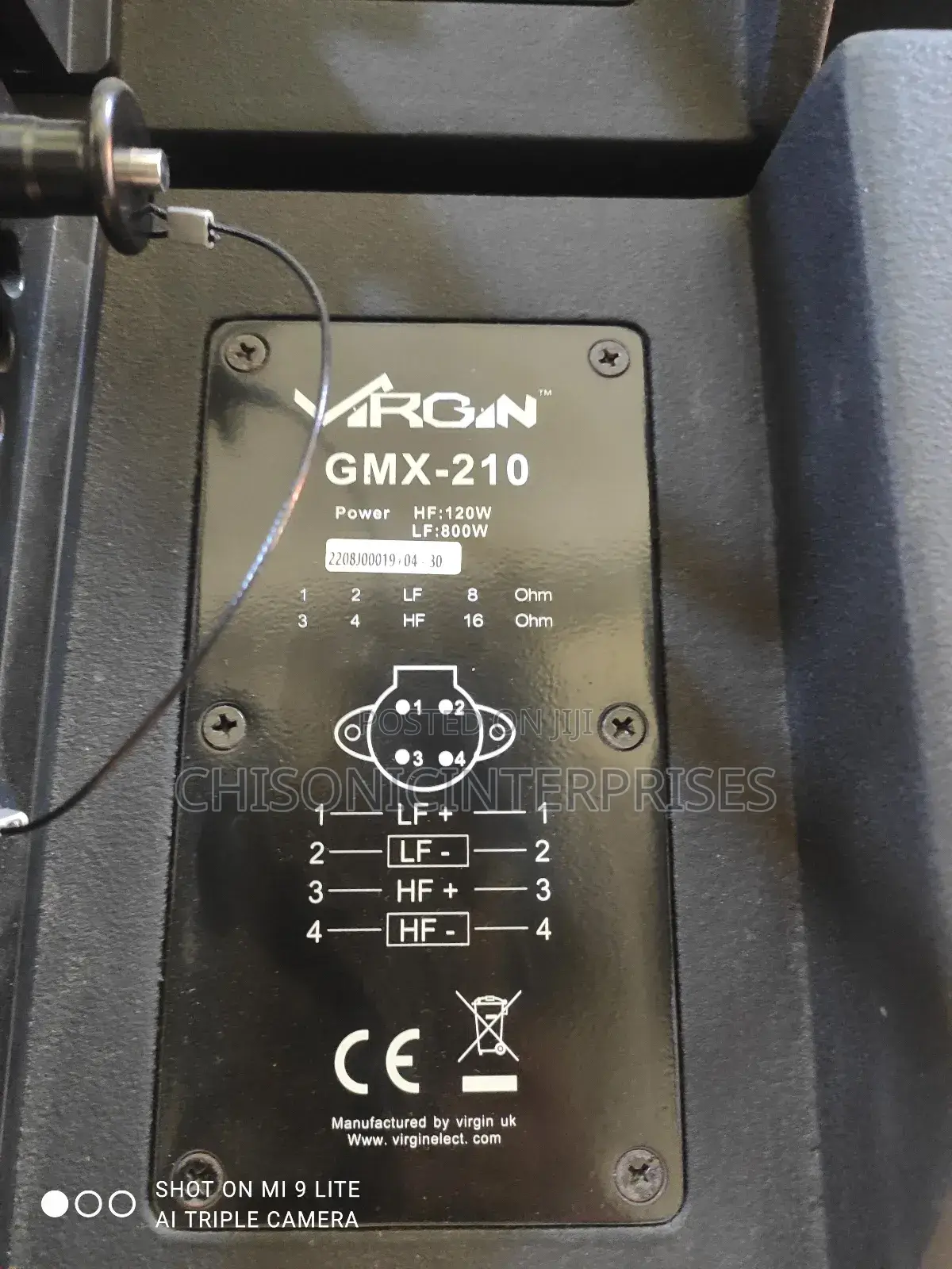 Virgin Line Array Double 10 Speaker