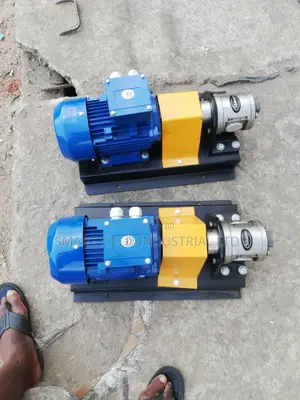 Shivay Stainless Steel Gear Pump