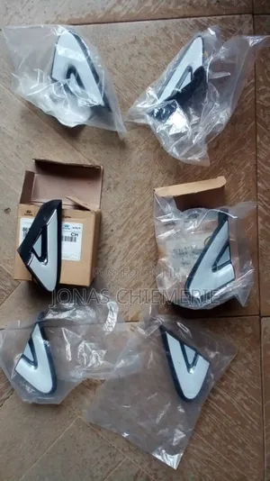 Side Mirrors Paded