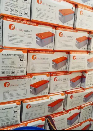 Felicity 200ah 12v Dry Cell Battery