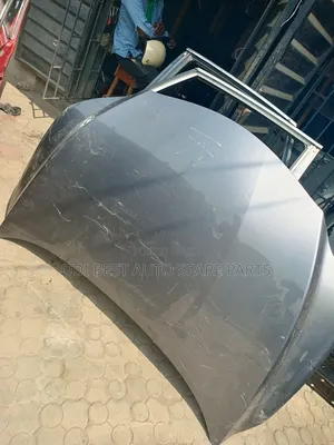 Lexus RX 350 2018 Model Bonnet Neat One
