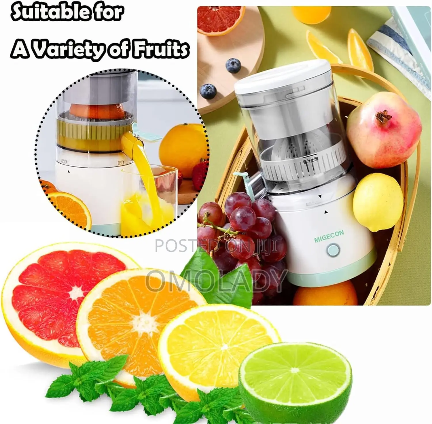 Rechargeable Citrus Juicer