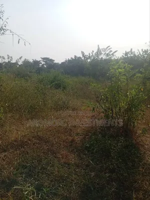 Photo - 3 Plots of Land for Sale