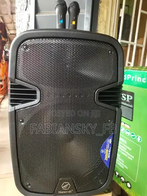 Portable Rechargeable Public Address System 8 Inches