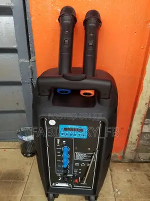 Portable Rechargeable Public Address System 8 Inches
