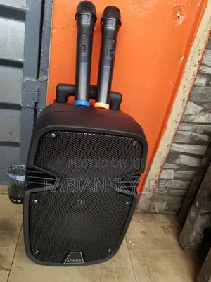 Portable Rechargeable Public Address System 8 Inches