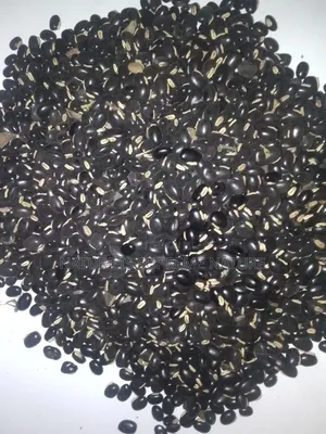 Mucuna Pruriens Also Known as Werepe or Yerepe Sperm Count