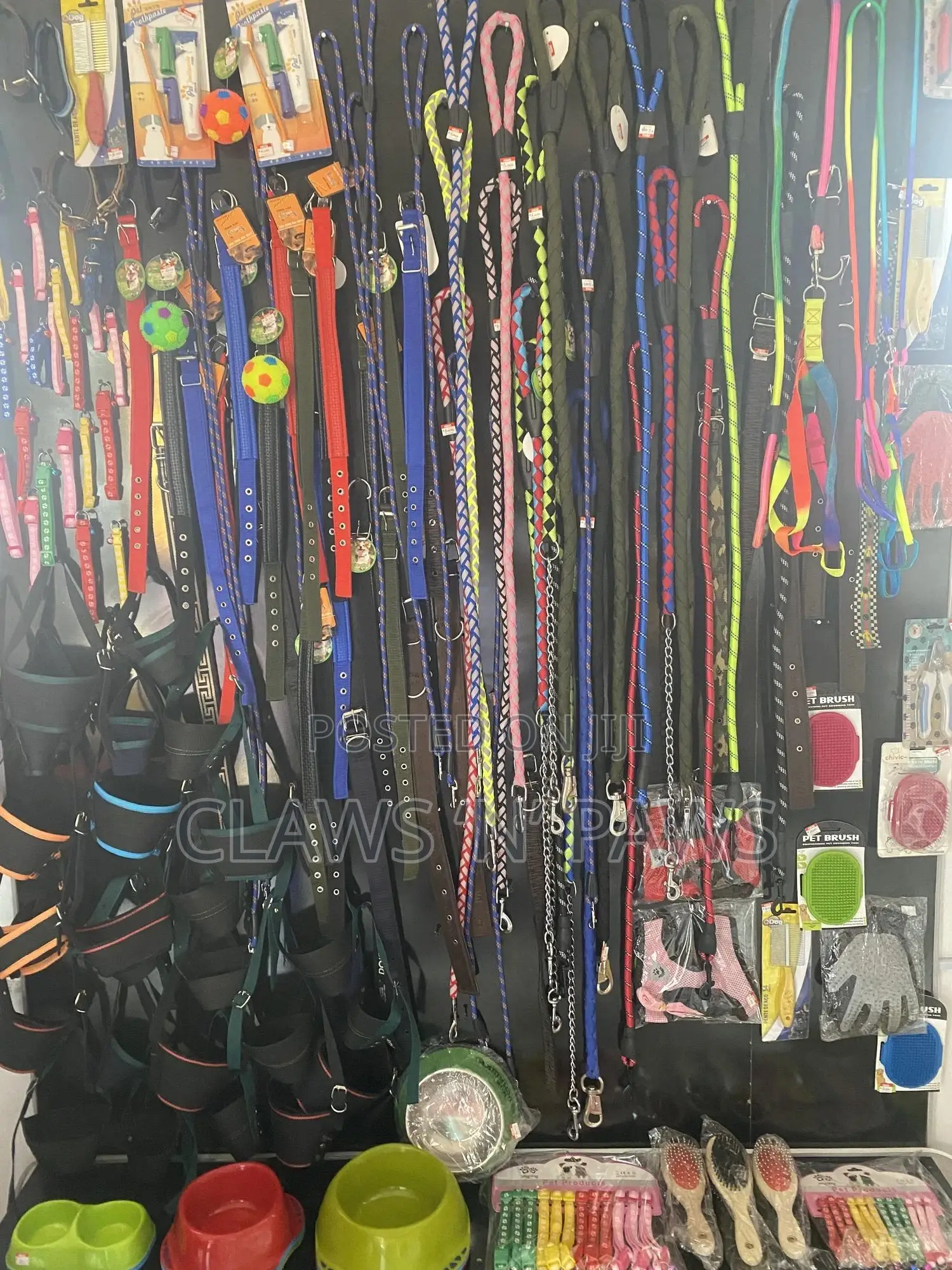Pet Accessories