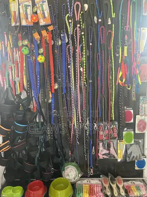 Pet Accessories