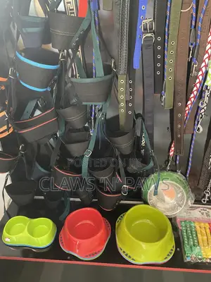 Pet Accessories