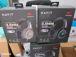 Garmin Headset