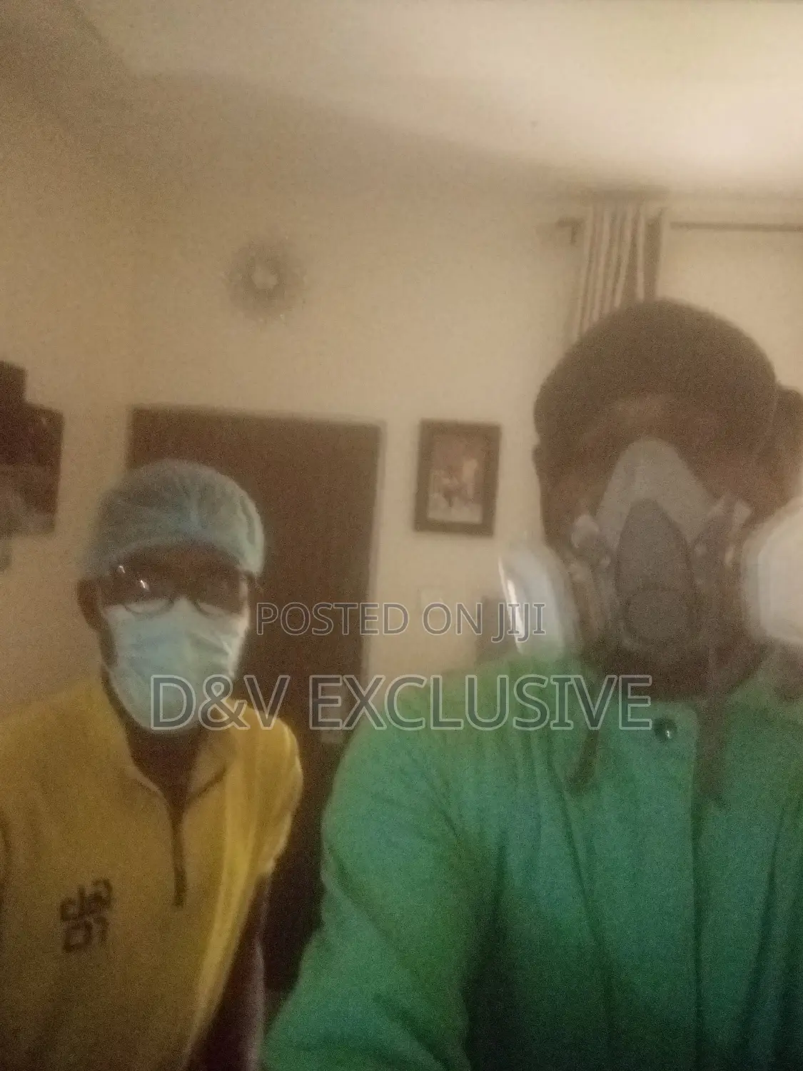 Pest Control Services