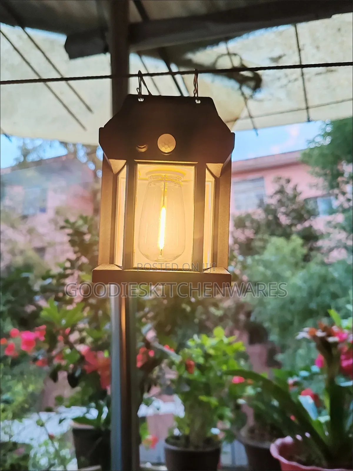 Solar Lamp (Light)