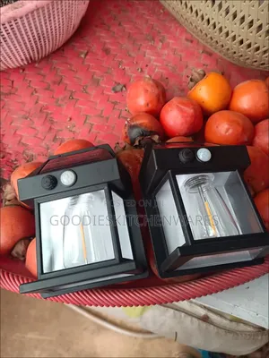 Solar Lamp (Light)