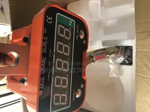 5tons OCS Crane Scale